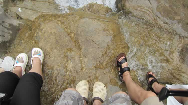 八里溝腳鴨 八里溝腳鴨