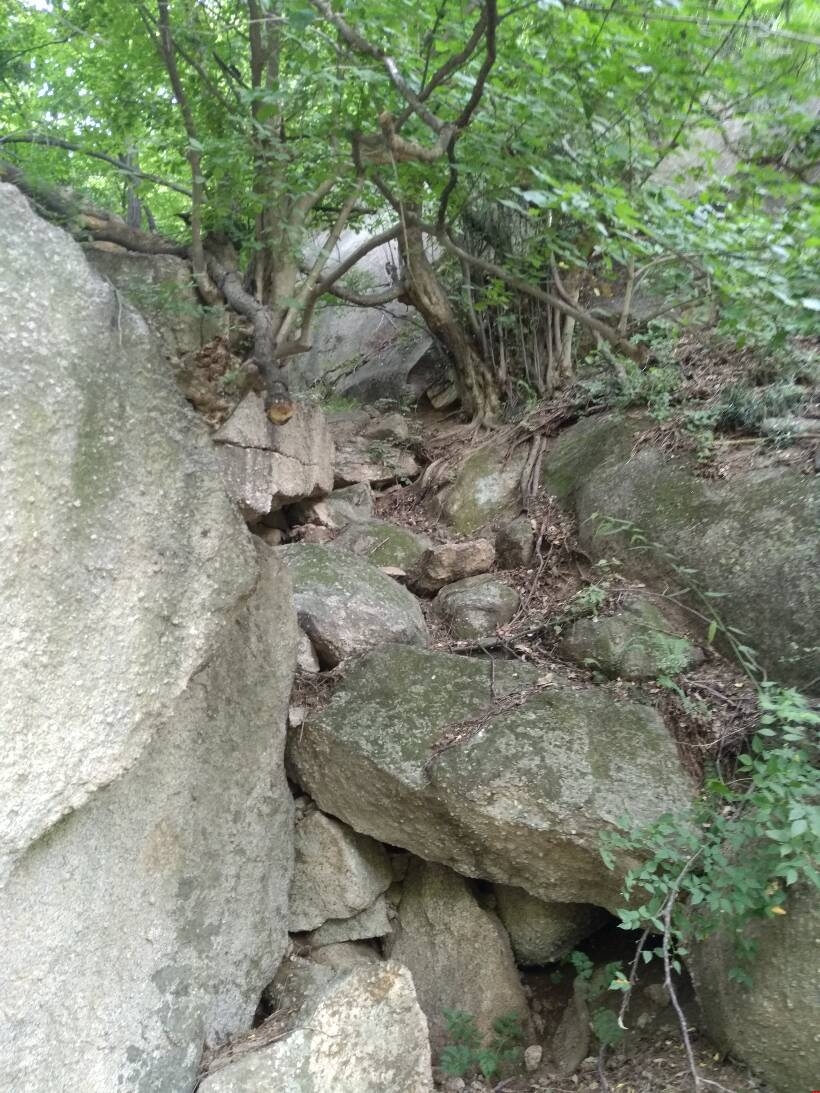 鄭州網(wǎng)站建設(shè)的扎根精神