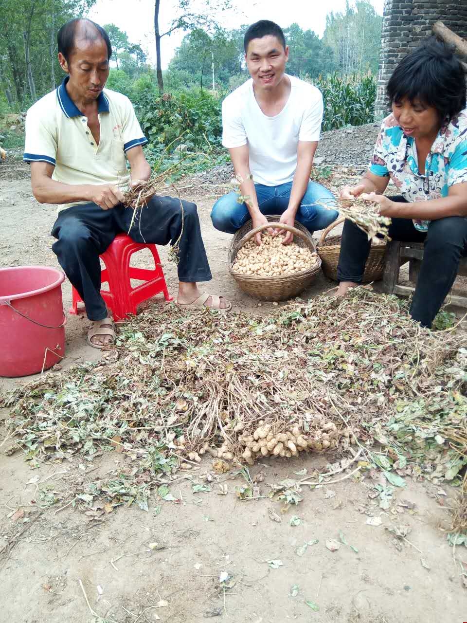 Ʒ2016﹝(ji)׌cĸF(tun)A