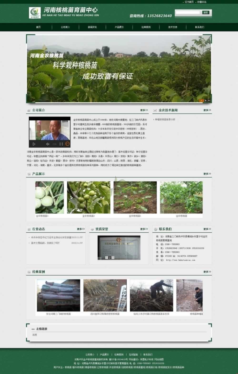 核桃苗網(wǎng)站建設(shè)首頁信息展示.jpg 核桃苗網(wǎng)站建設(shè)首頁信息展示.jpg