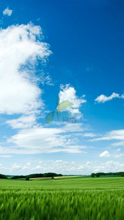 WZ125C型手機(jī)網(wǎng)站建設(shè) WZ125C型手機(jī)網(wǎng)站建設(shè)