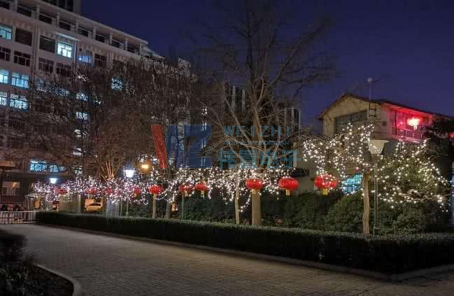 2019年初六鄭州過年美景1 2019年初六鄭州過年美景1