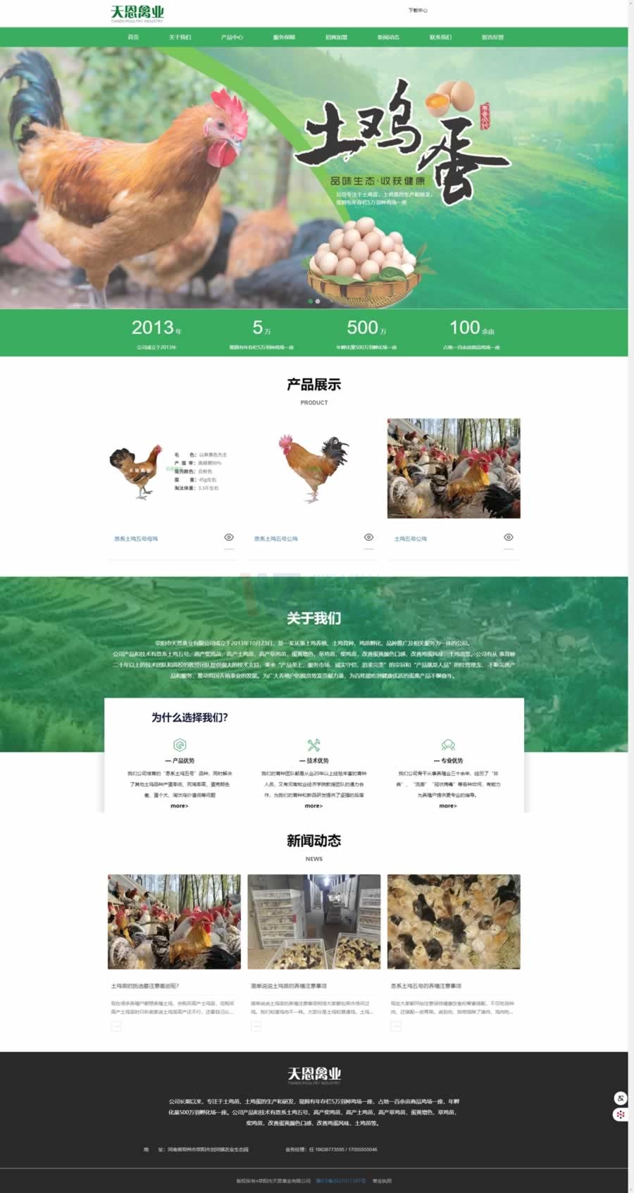 滎陽天恩禽業(yè)網站首頁效果圖 滎陽天恩禽業(yè)網站首頁效果圖